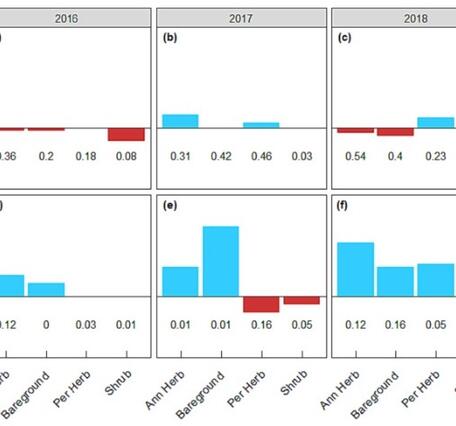 RCMAP show higher R2 and lower performance compared to RAP values 