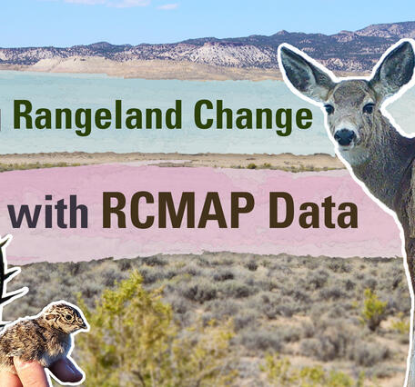 Thumbnail for "Visualizing Rangeland Change with RCMAP Data" Video