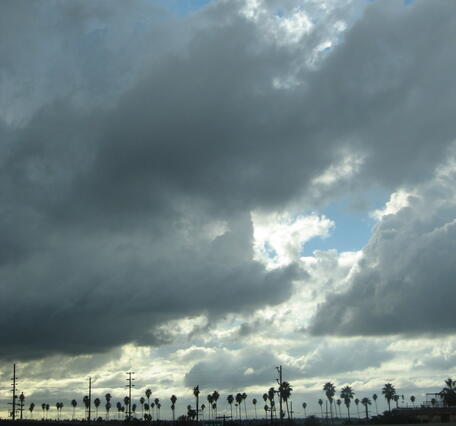Rain clouds over palm trees in Los Angeles