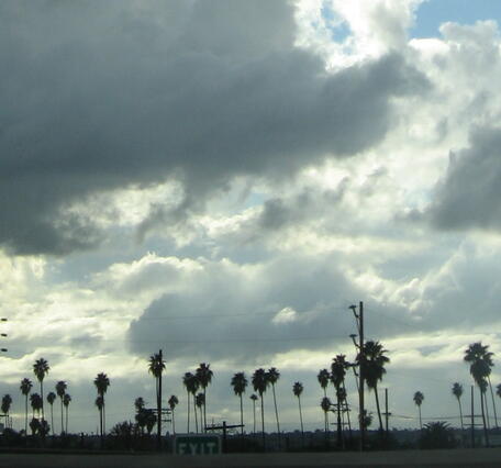 Rain clouds over palm trees in Los Angeles