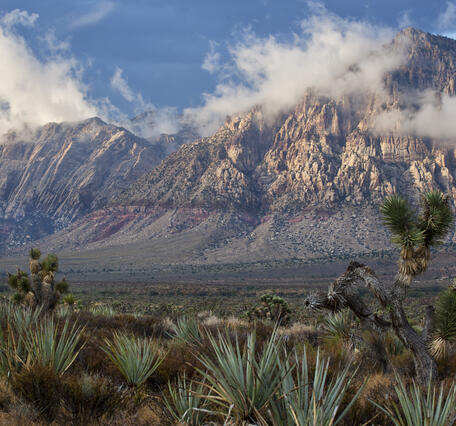large brown mountains with reddish stripe intermix with clouds, desert plans in the foreground