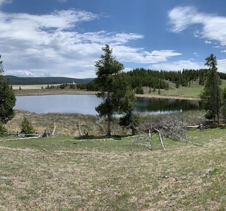 Small lake in a depression of a large grassy meadow behind a few scattered pine trees under mostly cloudy sky