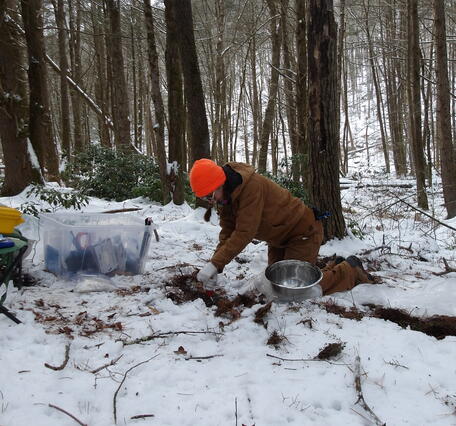 A person with a brown outfit and orange hat takes a soil sample in the woods with snow on the ground.