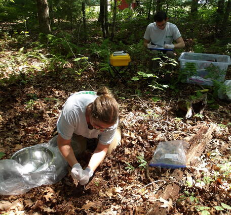 A person collects a soil sample from the ground in the woods while another man writes in the background.