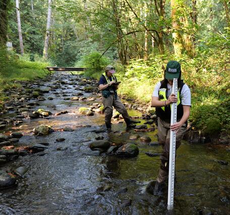 Scientists hold measuring rod and tablet in small stream