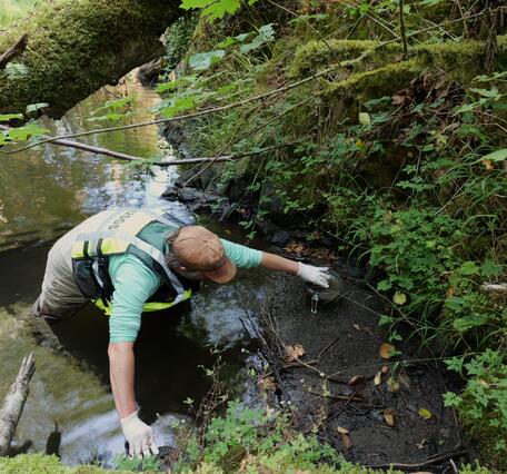 Scientist in creek scooping sediment