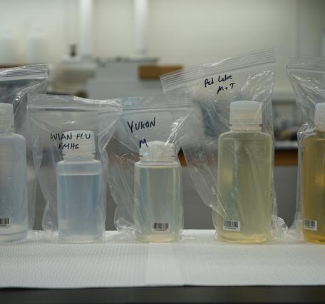 Five plastic sample bottles, with water color ranging from clear to yellow