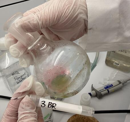 Closeup of crystals containing extracted cyanotoxins forming on the glassware during extraction process