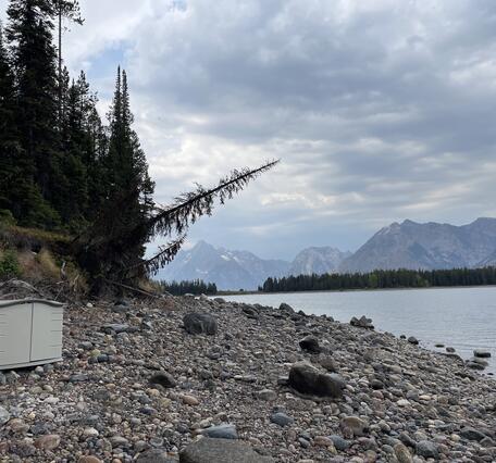 Plastic protective housing holding eDNA sampler on shore of lake