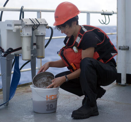 Scientist sifting through deep-sea mud for infauna during the Hawaii Abyssal Nodules Expedition