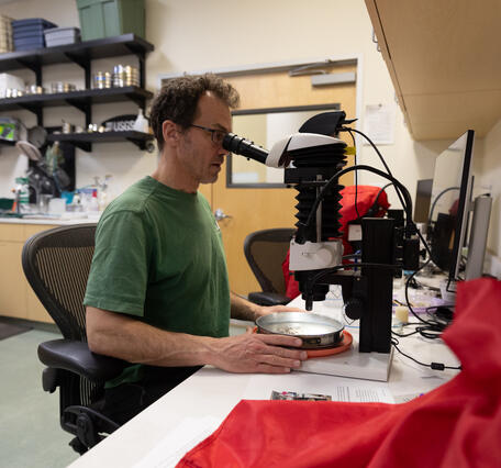 Scientists analyzing material extracted from sediment cores