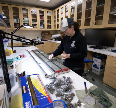 Scientists sub-sampling split sediment cores