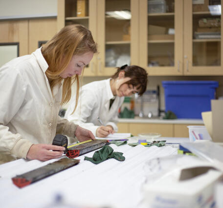 Scientists sub-sampling split sediment cores