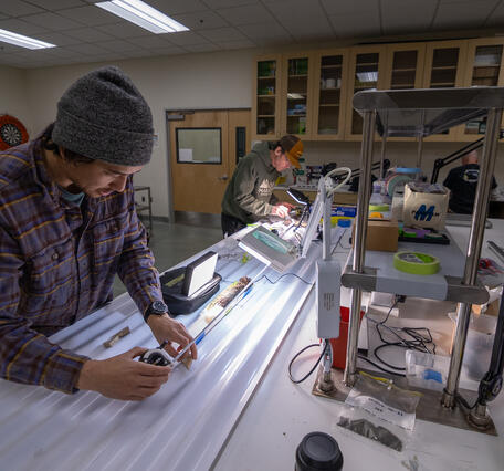 Scientists sub-sampling split sediment cores