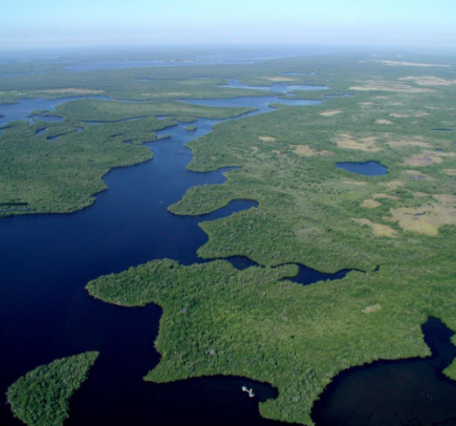 Aerial view of Everglades National Park