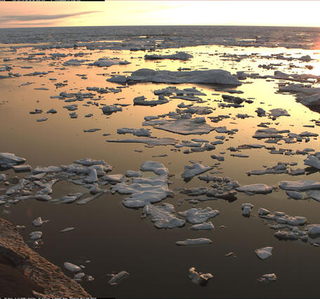 Sea ice at Nuvuk, Alaska on July 13 2025