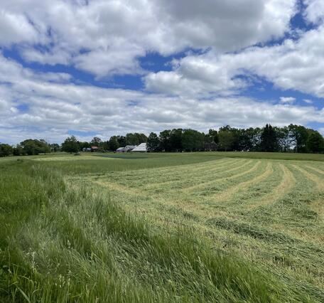 A plowed grassy field.