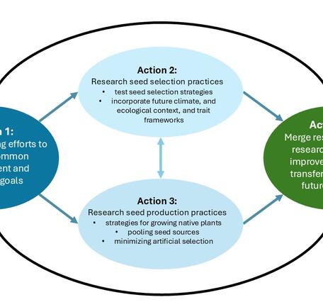 A figure shows four interconnected action items, Action 1 reads "bolster planning efforts to support common management and research goals", Action 2 reads "research seed collection practices", Action 3 reads "Research seed production practices", and Action four reads "Merge restoration and research efforts to improve knowledge transfer and inform future actions"