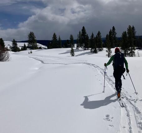 Person cross-country skiing across a white snowy landscape under partly cloudy skies with some trees in the distance
