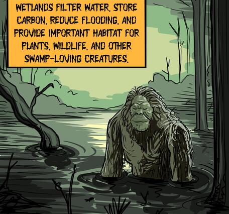 A content-looking ape-like creature bathing in a shadowy swamp.