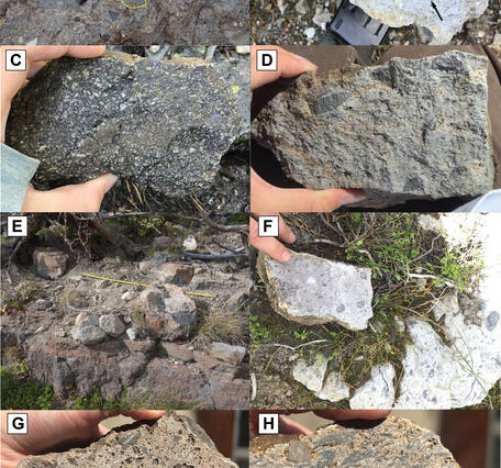 8 photos of gray-colored rock samples or outcrops containing light to dark particles