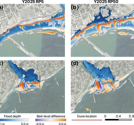 Spatial distribution of post-storm bed-level differences between simulations with and without dune-based adaptation