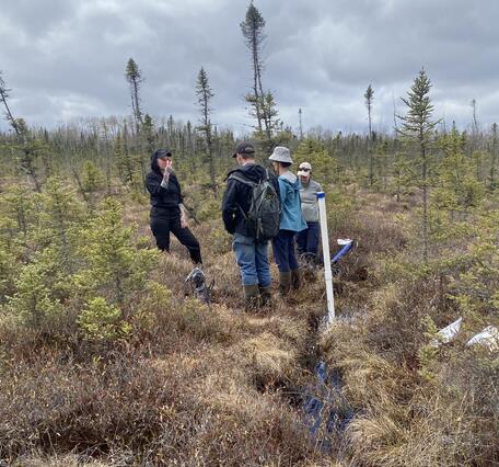 Four scientists discuss soil collecting methods for trace metals while standing in the St. Louis River Peatlands, Minnesota.