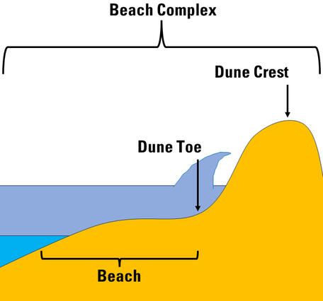 An illustration of a beach complex showing a "collision regime" - a type of storm impact on a dune system