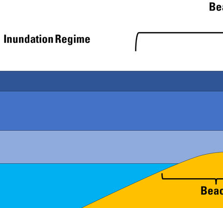 An illustration of a beach complex showing an "inudation regime" describes the frequency, duration, and depth of tidal or st
