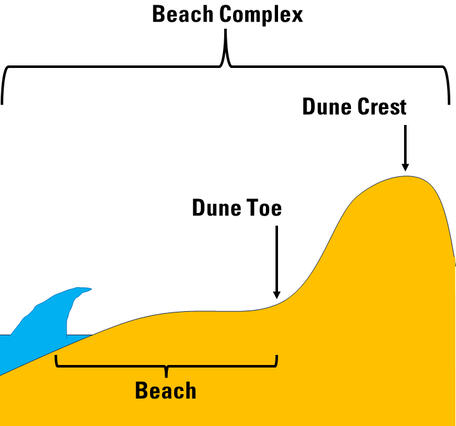 An illustration of the ocean, beach, dune and dune crest