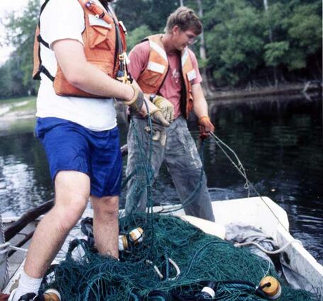 fisheries scientists pull in netting used to capture Gulf Sturgeon in the Suwanee River, circa mid 1990's