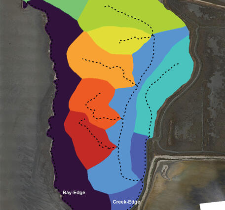 Figure showing surface of the Whales Tail Marsh colored to segment