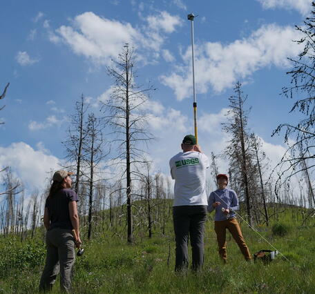 three people stand in a green field, dead trees in background, setting up a tall pole