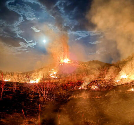 Fire on a mountain under a moon-lit night