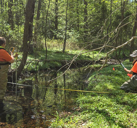 Technicians complete field activities for a spring habitat assessment in Reston, VA.
