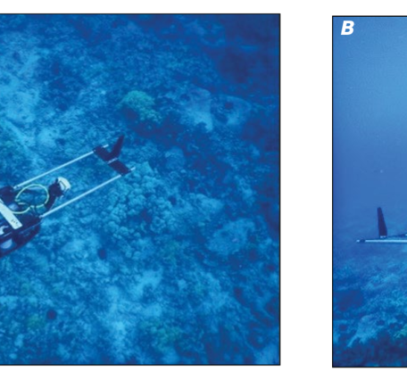 Underwater photos of the tethered drop-camera system