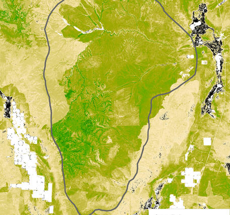 A graphic shown with varying colors of green, beige, white and black