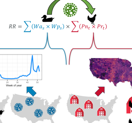 Graphic breakdown of HPAI transmission modeling approach
