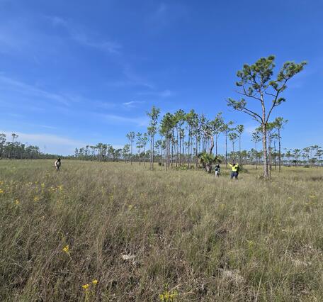 three people stand in a large prairie, with trees sparsely distributed throughout and blue sky above