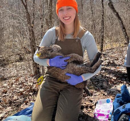 Haley Turner holding a bobcat during field work.