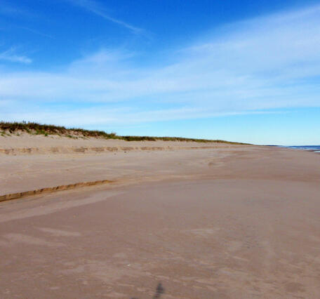 Two small scarps at the base of an ocean dune caused by wave erosion