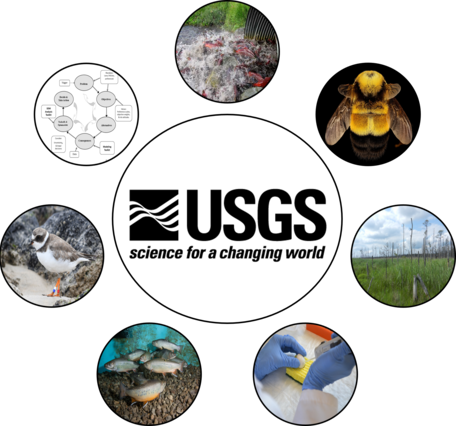 Science Images in a circle around USGS logo