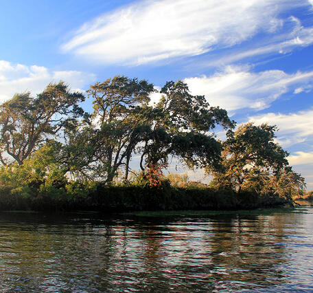 Island in the Sacramento-San Joaquin Delta