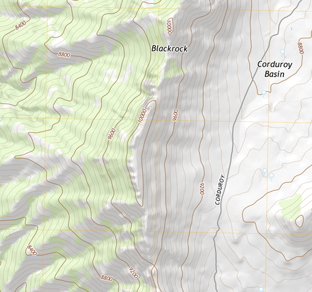 US Topo - NV - Currant Mountain - LND CVR - 2021