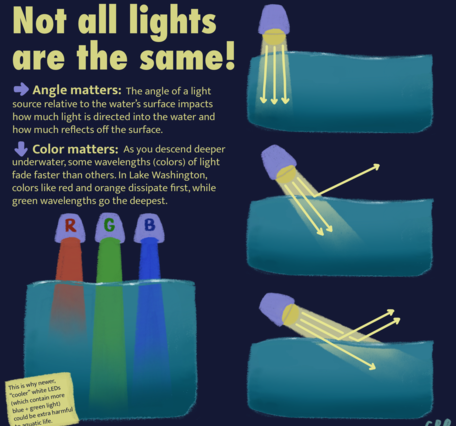 inforgraphic about light in water. Angle and color matter.