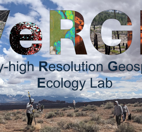 VeRGE website graphics Logo2