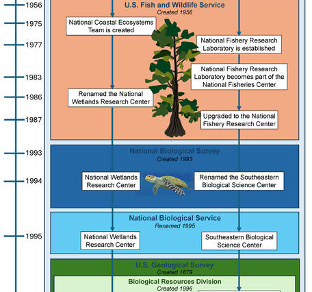 WARC History Graphic showing a timeline of major events in the history of the Wetland and Aquatic Research Center