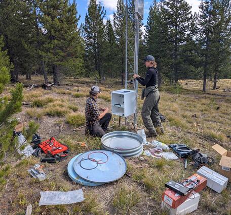 A man and a woman work next to a tower with electronics equipment. Tools are scattered on the grass. Sparse trees behind.