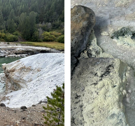 Two photos showing warm springs in a river, one zoomed out to show vegetation, another zoomed in on bubbling water