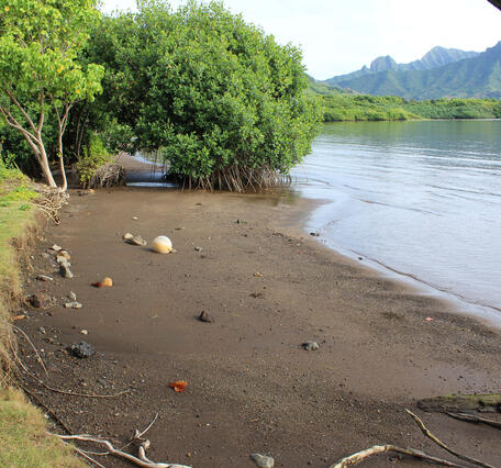 A grassy area and small beach next to a calm ocean with green mountains in the distance, in Hawaii